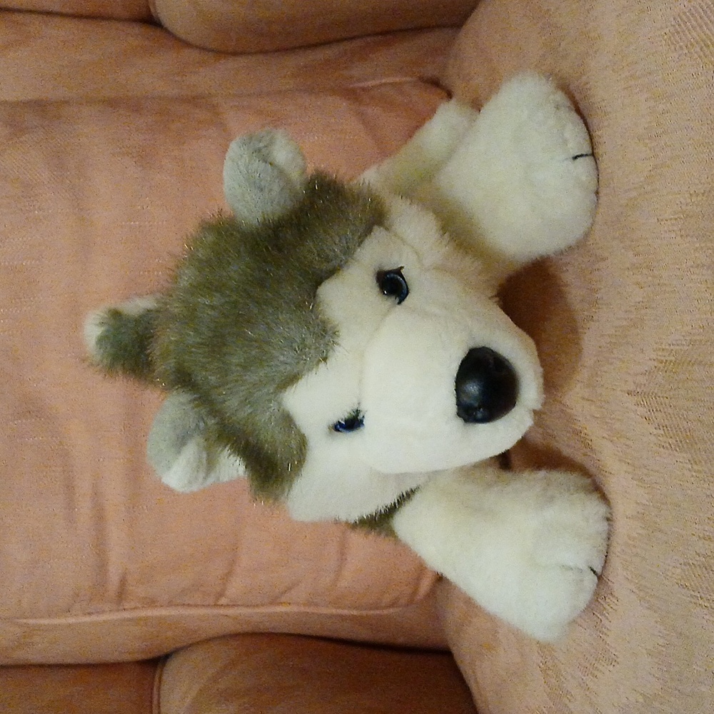 Build-A-Bear Husky